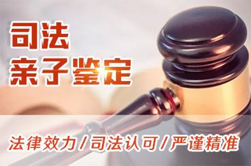 乌海司法DNA鉴定程序是什么,乌海司法亲子鉴定哪里可以办理